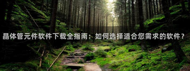 晶体管元件软件下载全指南：如何选择适合您需求的软件？