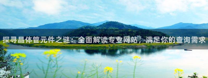 探寻晶体管元件之谜：全面解读专业网站，满足你的查询需求