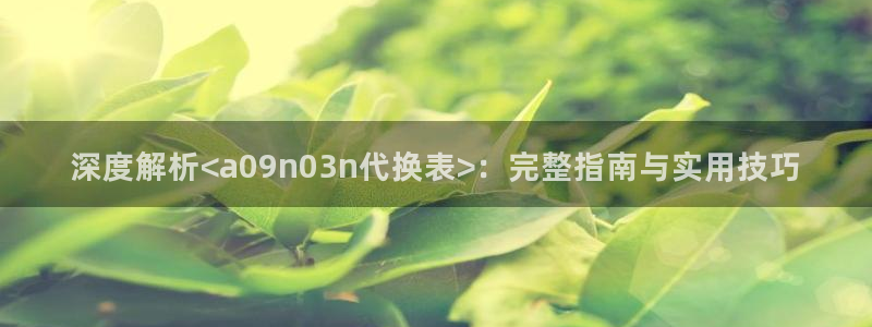 深度解析<a09n03n代换表>：完整指南与实用技巧