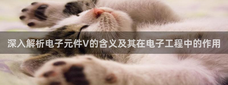 pg官方电子平台：深入解析电子元件V的含义及其在电子工程中的作用