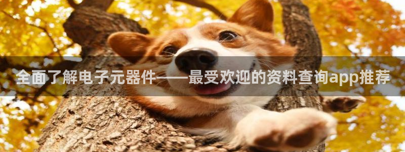 pg电子插件功能是什么：全面了解电子元器件——最受欢迎的资料查询app推荐