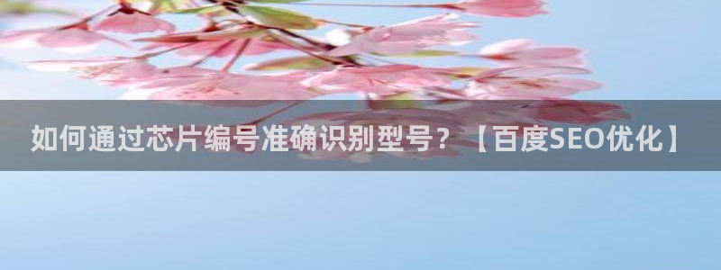 pg电子平台订ly79丶cn：如何通过芯片编号准确识别型号？【百度SEO优化】