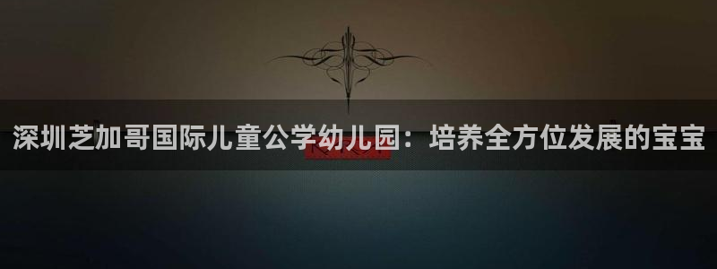pg电子游戏官网不凡成就非凡：深圳芝加哥国际儿童公学幼儿园：培养全方位发展的宝宝