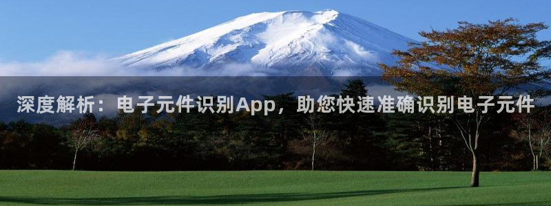pg棋牌软件平台游戏：深度解析：电子元件识别App，助您快速准确识别电子元件