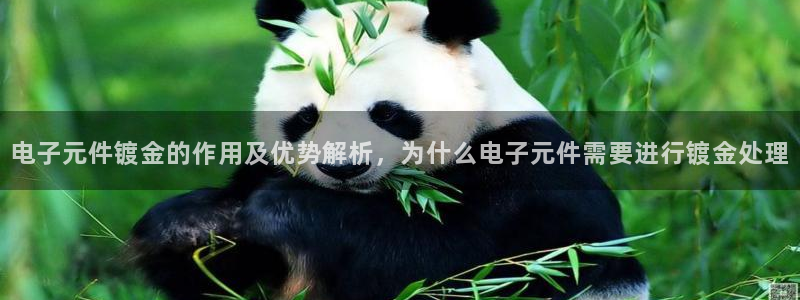 pg电子有官方网站吗安全吗