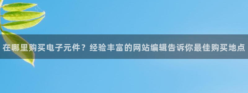 pg电子麻将胡了挂：在哪里购买电子元件？经验丰富的网站编辑告诉你最佳购买地点