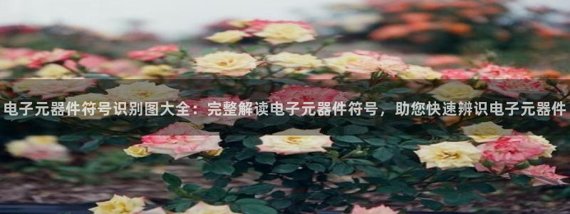 pg电子游戏破解版：电子元器件符号识别图大全：完整解读电子元器件符号，助您快速辨
