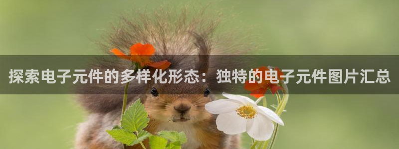 pg电子是哪个国家的产品：探索电子元件的多样化形态：独特的电子元件图片汇总