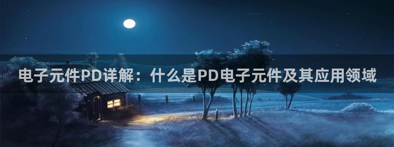 pg电子有官方网站吗试玩版：电子元件PD详解：什么是PD电子元件及其应用领域