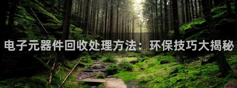 pg电子老板是谁：电子元器件回收处理方法：环保技巧大揭秘