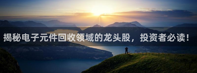 pg电子游戏试玩版官网：揭秘电子元件回收领域的龙头股，投资者必读！