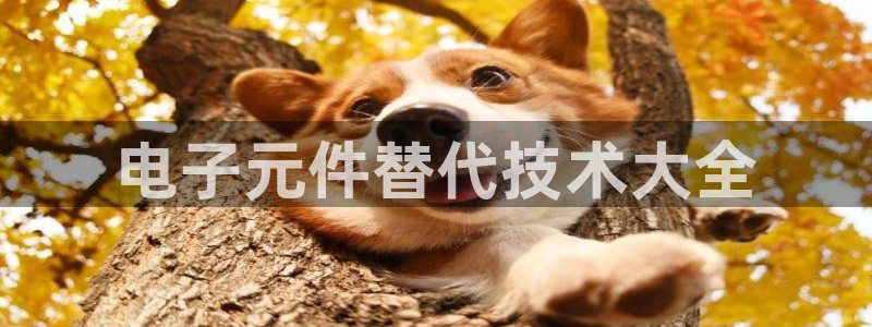 pg电子出来几年了还能用吗：电子元件替代技术大全