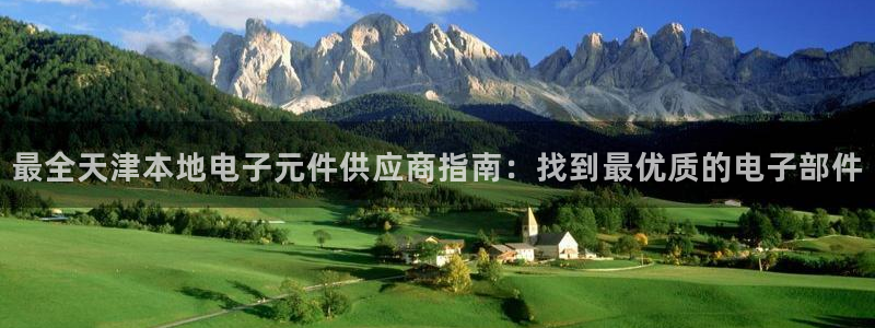pg电子公司：最全天津本地电子元件供应商指南：找到最优质的电子部件