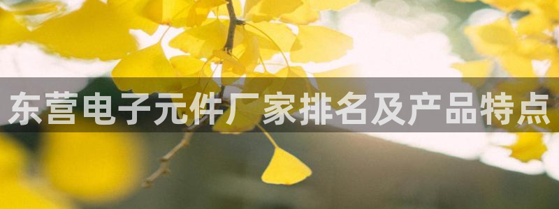 pg官方电子平台是什么：东营电子元件厂家排名及产品特点