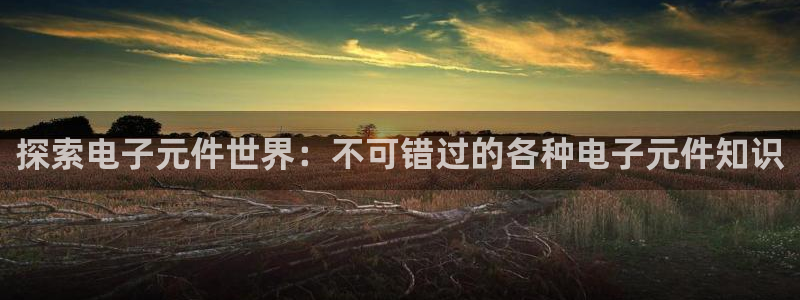 有pg电子游戏的棋牌送分：探索电子元件世界：不可错过的各种电子元件知识