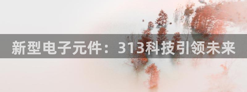pg电子平台游戏登陆入口在哪：新型电子元件：313科技引领未来