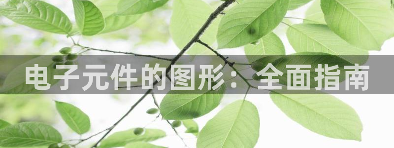 pg电子模拟器贴吧：电子元件的图形：全面指南