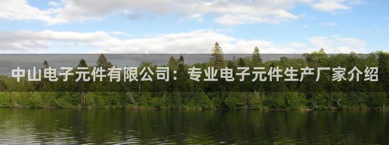 PG电子在线试玩官网：中山电子元件有限公司：专业电子元件生产厂家介绍