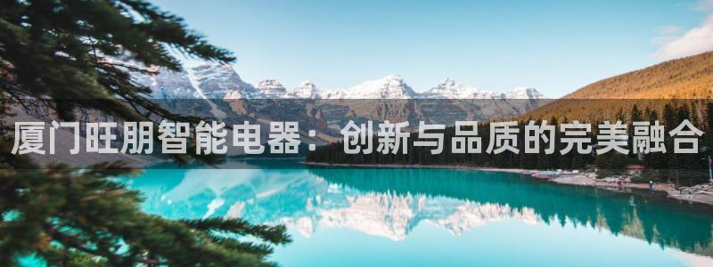 pg模拟器试玩入口官网网址：厦门旺朋智能电器：创新与品质的完美融合