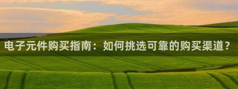pg电子平台：电子元件购买指南：如何挑选可靠的购买渠道？