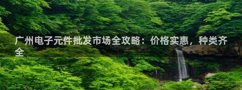 pg电子在哪玩：广州电子元件批发市场全攻略：价格实惠，种类齐
全